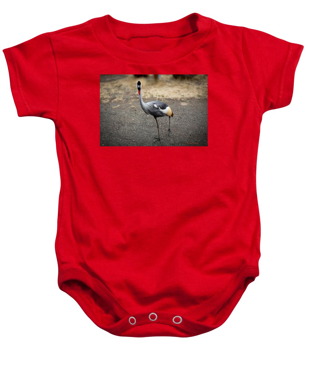 Goosed  - Baby Onesie