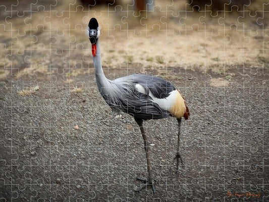 Goosed  - Puzzle