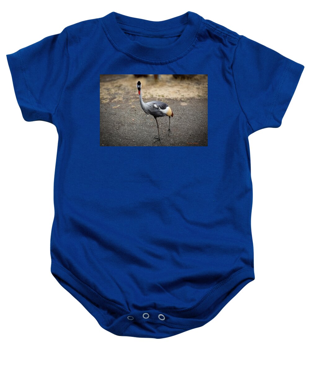 Goosed  - Baby Onesie