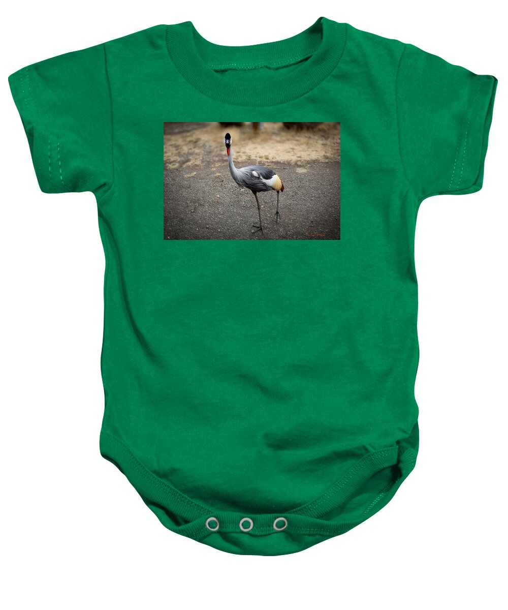 Goosed  - Baby Onesie