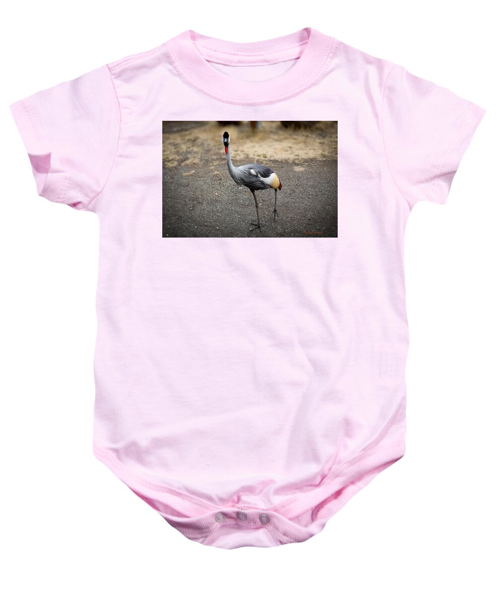 Goosed  - Baby Onesie