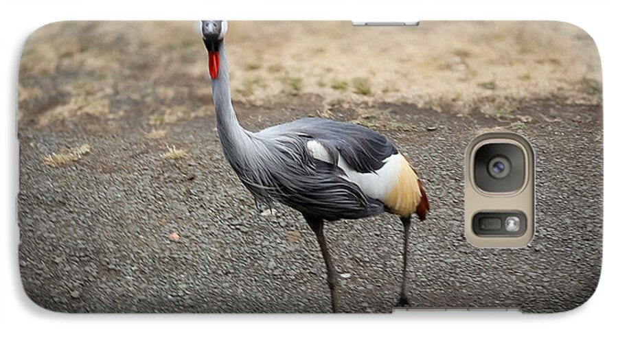 Goosed  - Phone Case