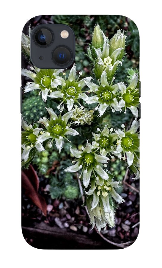 Green and white  - Phone Case