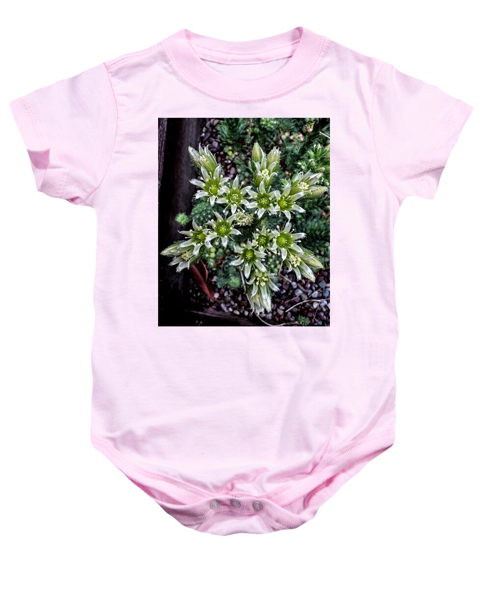 Green and white  - Baby Onesie