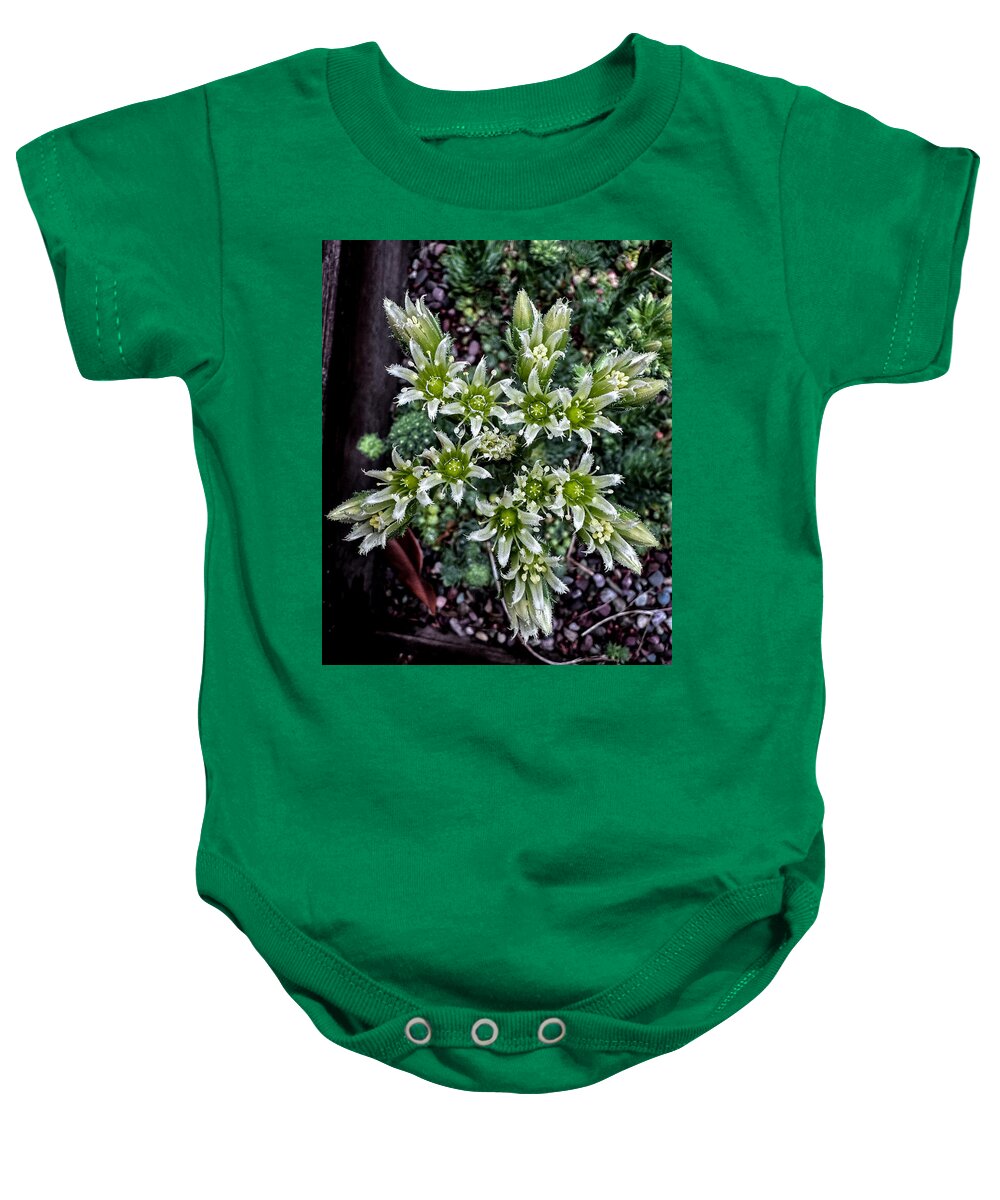 Green and white  - Baby Onesie