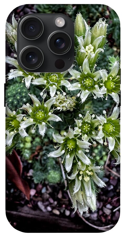 Green and white  - Phone Case