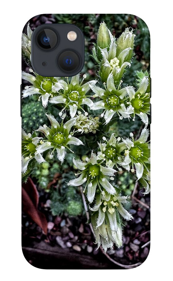 Green and white  - Phone Case