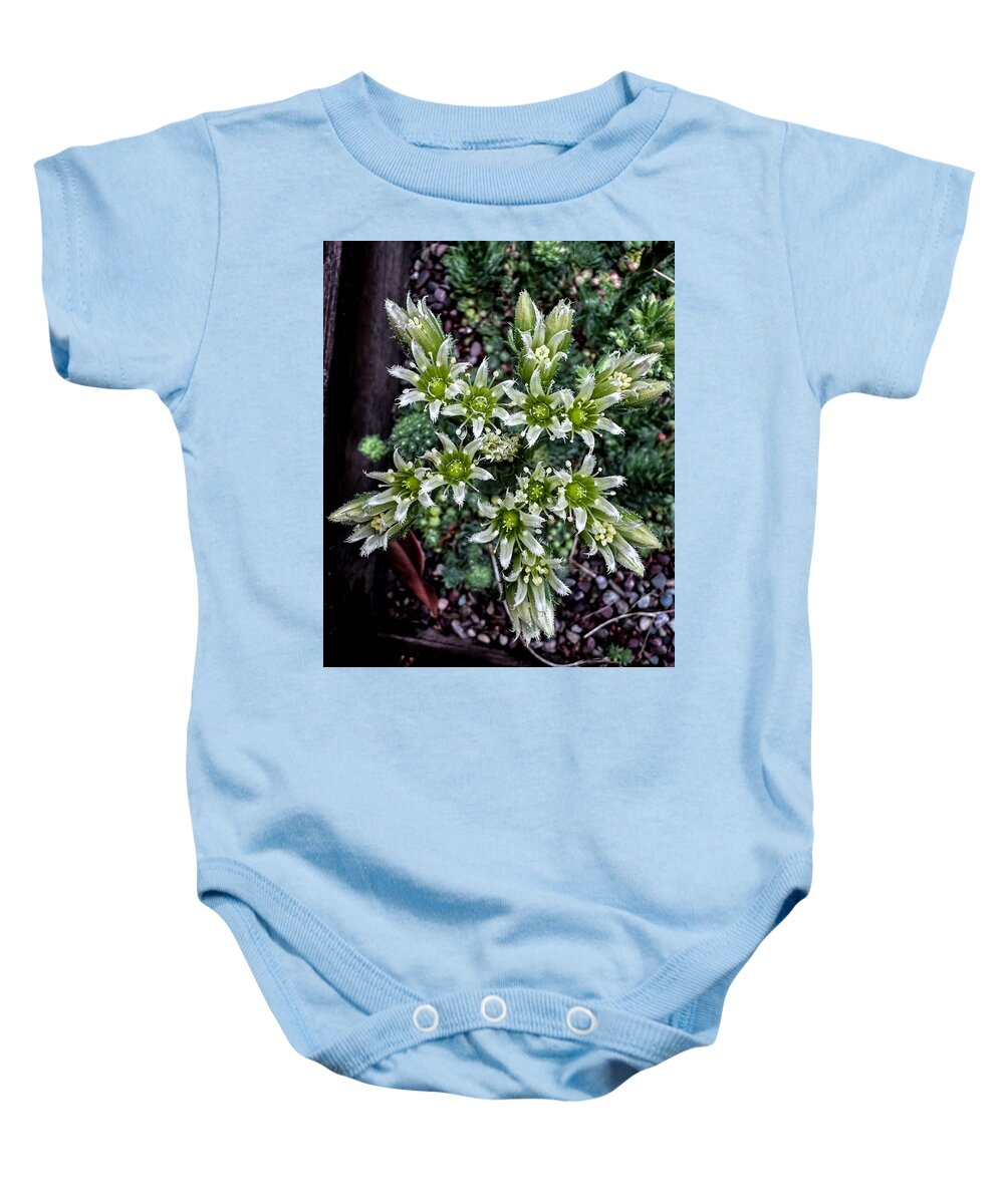 Green and white  - Baby Onesie