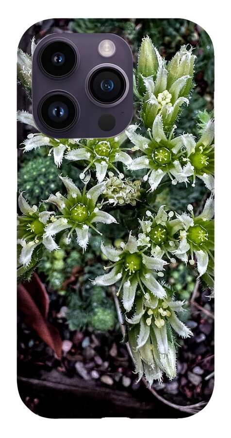 Green and white  - Phone Case