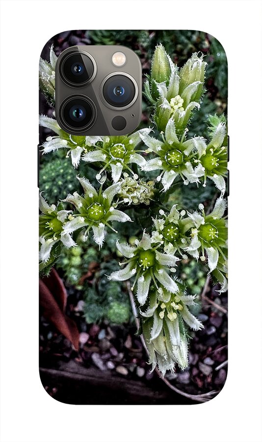 Green and white  - Phone Case