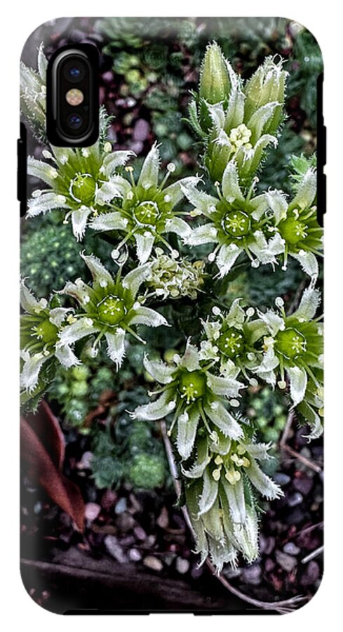 Green and white  - Phone Case