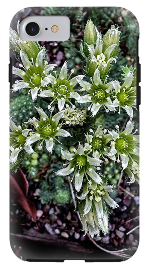 Green and white  - Phone Case