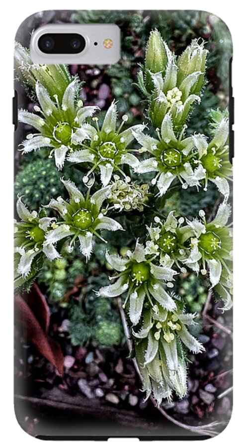 Green and white  - Phone Case