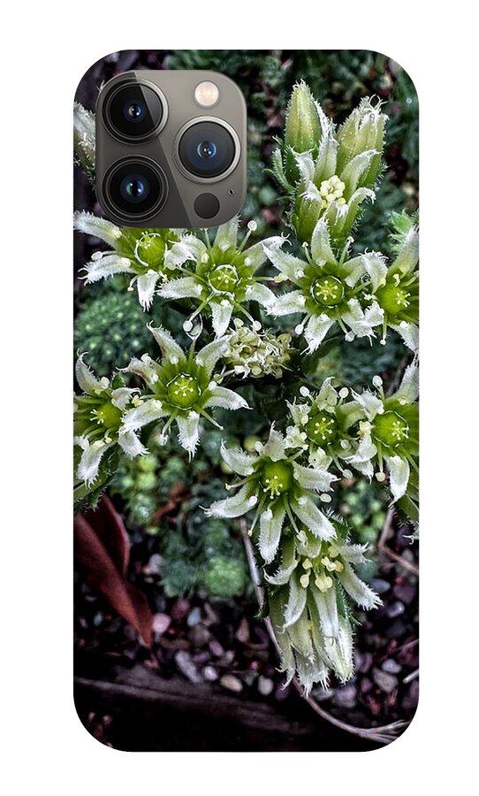 Green and white  - Phone Case