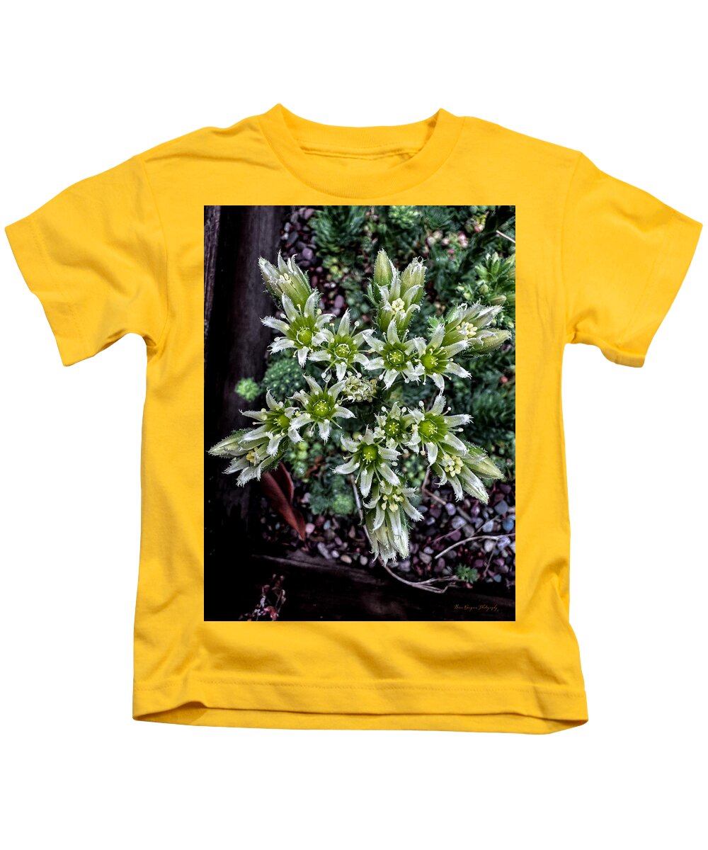 Green and white  - Kids T-Shirt