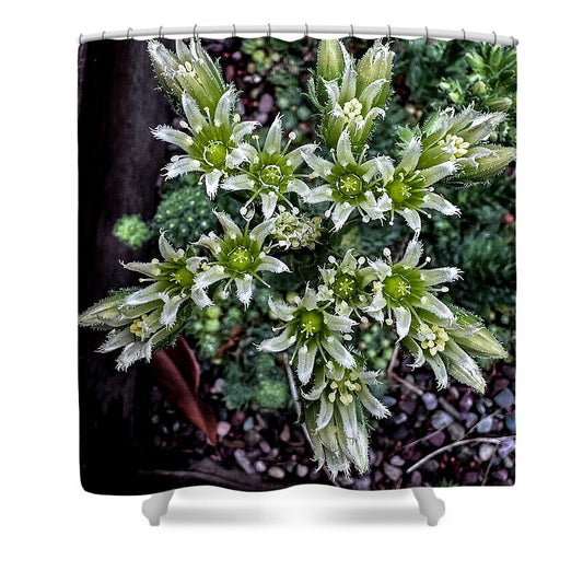 Green and white  - Shower Curtain