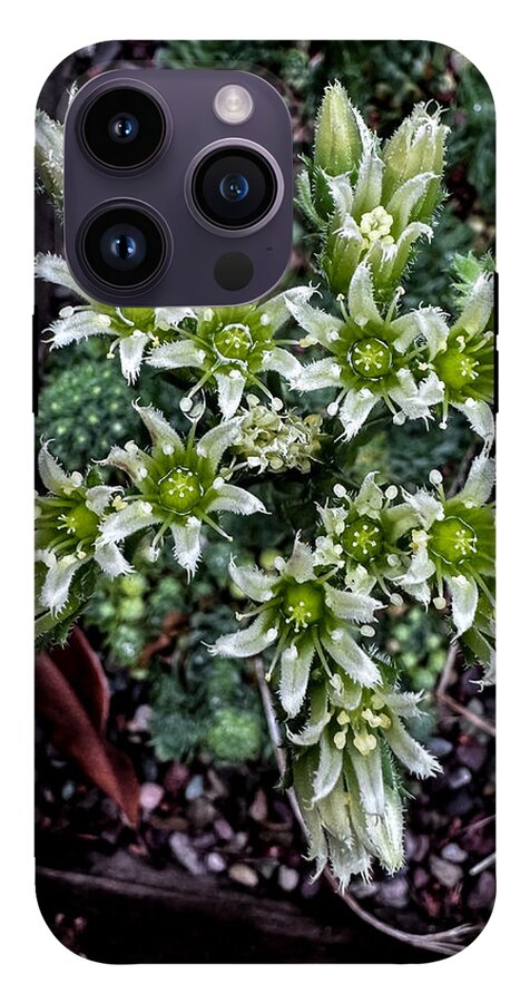 Green and white  - Phone Case