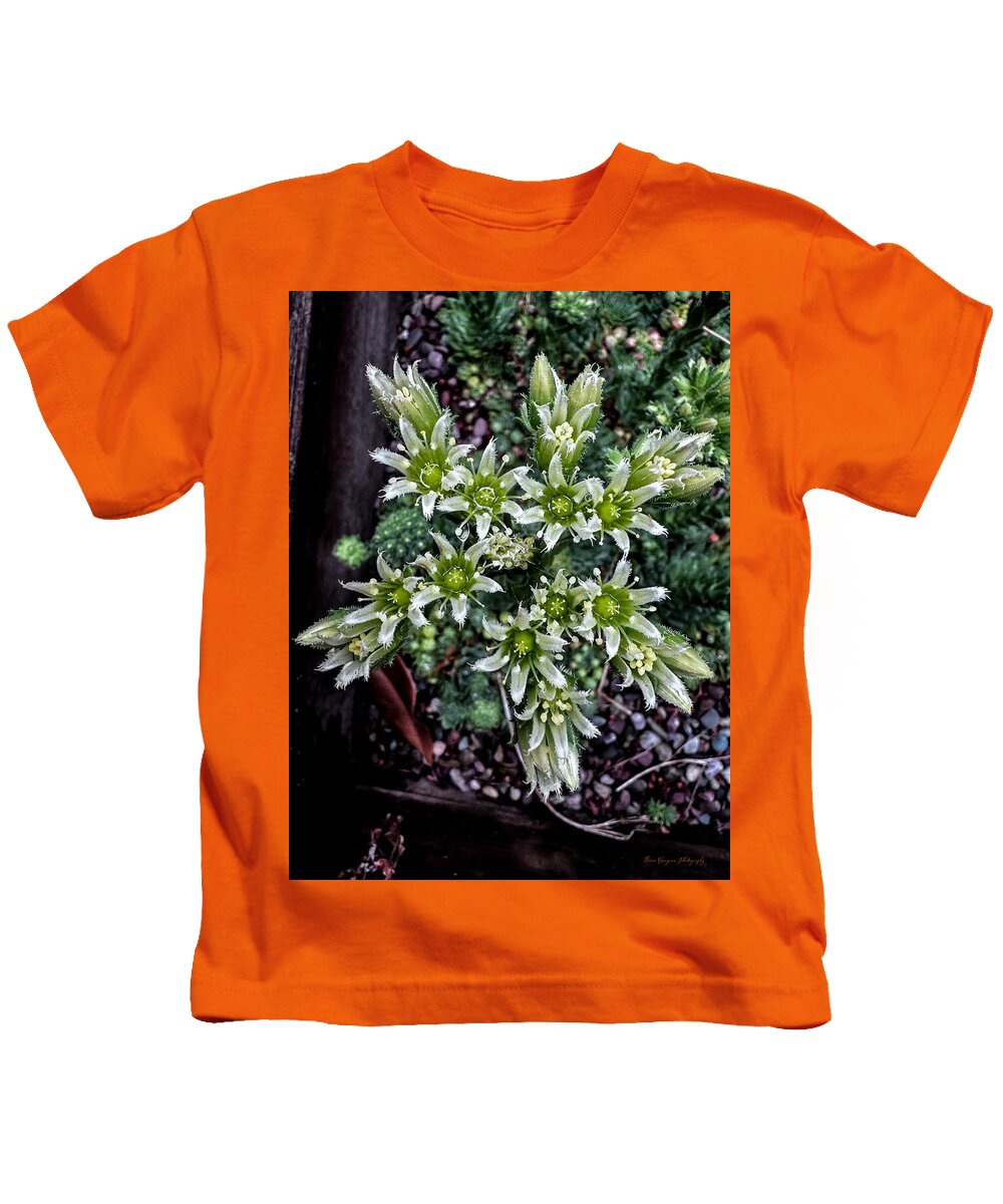 Green and white  - Kids T-Shirt