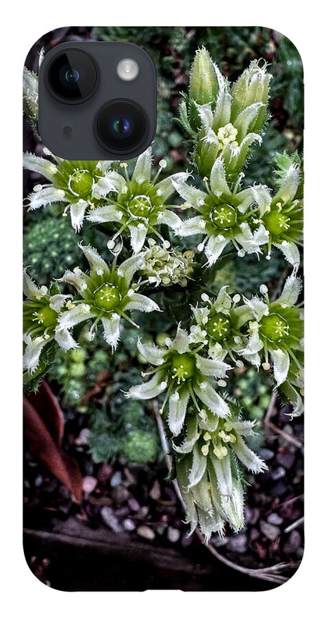 Green and white  - Phone Case