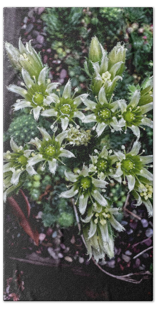 Green and white  - Beach Towel