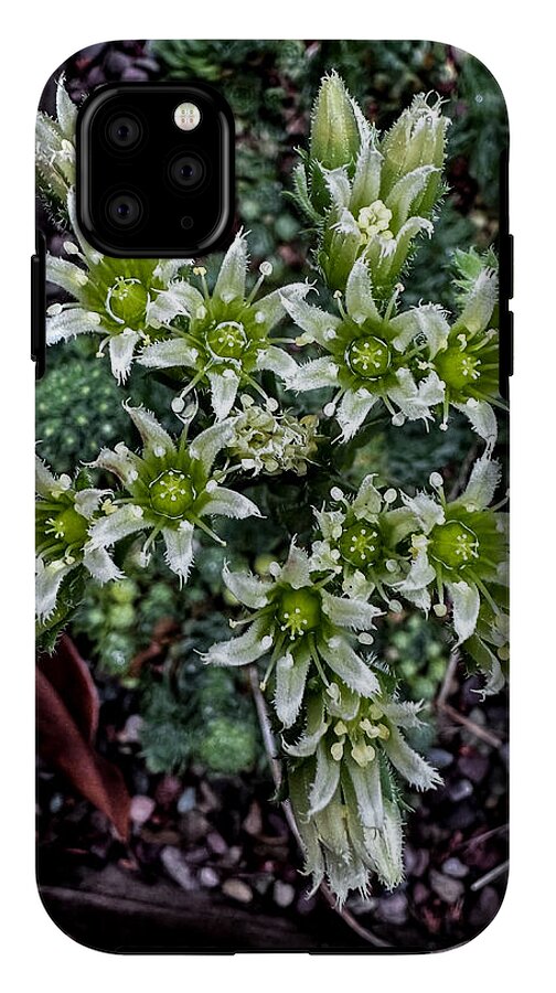 Green and white  - Phone Case