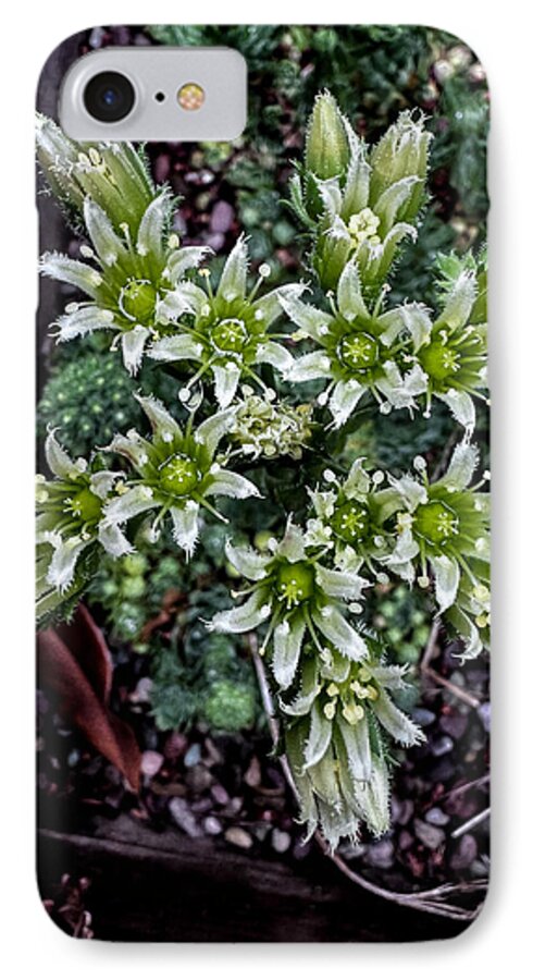 Green and white  - Phone Case