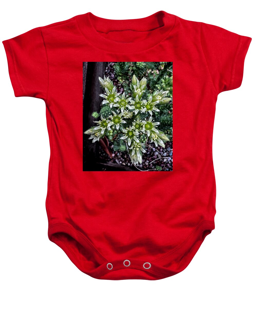 Green and white  - Baby Onesie