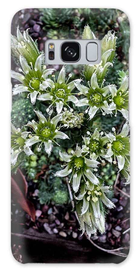 Green and white  - Phone Case