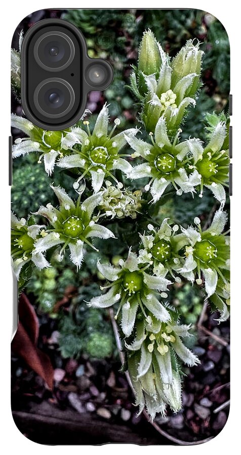Green and white  - Phone Case