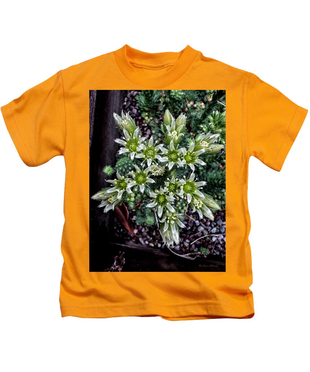 Green and white  - Kids T-Shirt