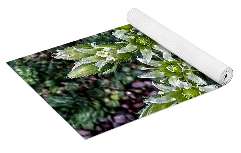 Green and white  - Yoga Mat