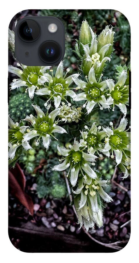 Green and white  - Phone Case
