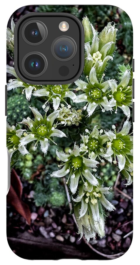 Green and white  - Phone Case