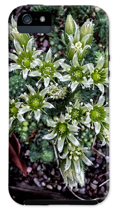 Green and white  - Phone Case