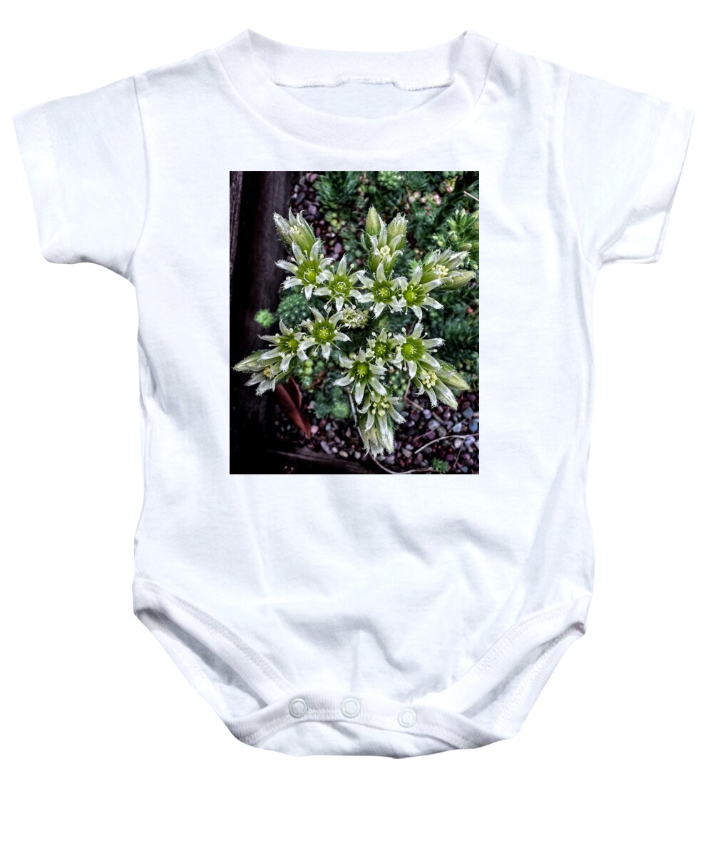 Green and white  - Baby Onesie