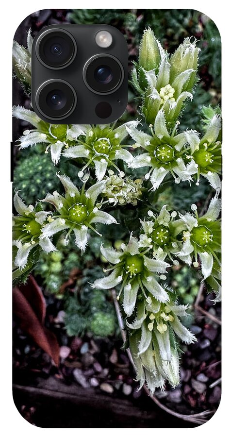 Green and white  - Phone Case