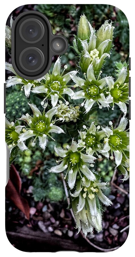 Green and white  - Phone Case
