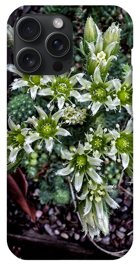 Green and white  - Phone Case