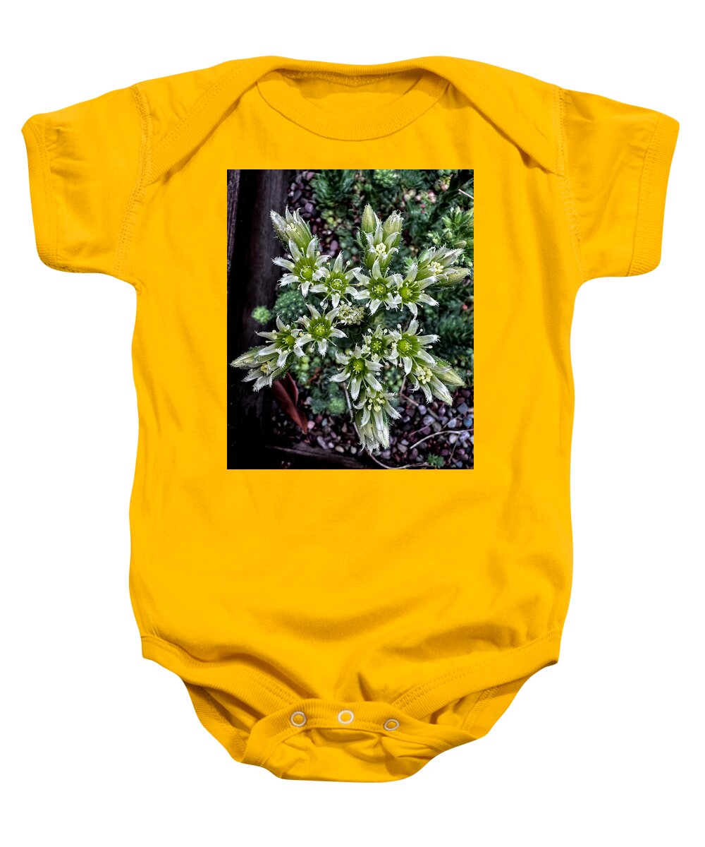 Green and white  - Baby Onesie