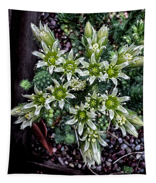 Green and white  - Tapestry