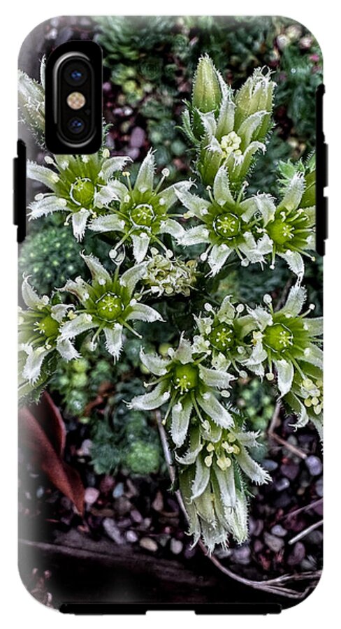 Green and white  - Phone Case