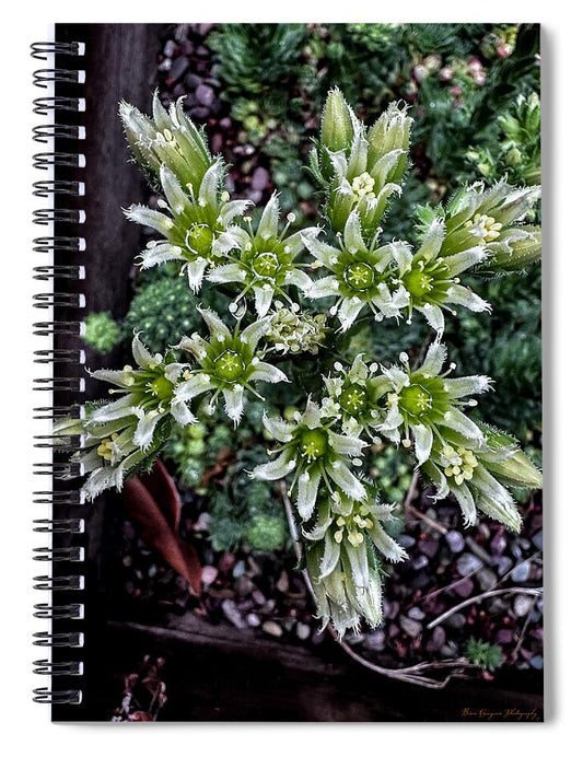 Green and white  - Spiral Notebook