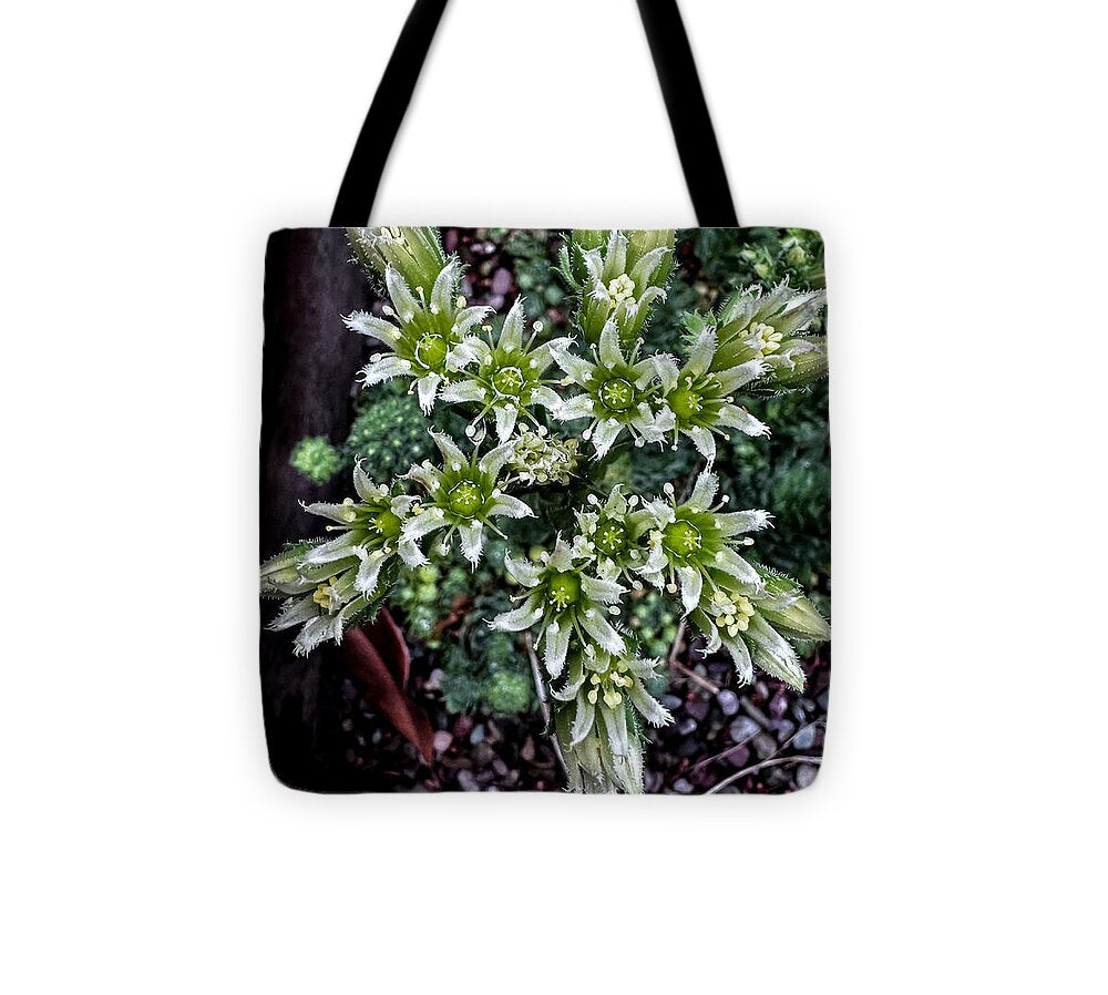 Green and white  - Tote Bag