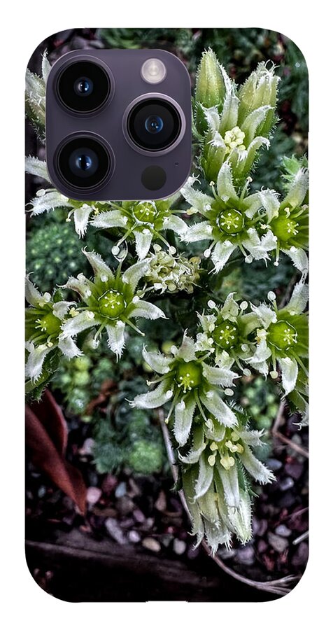 Green and white  - Phone Case