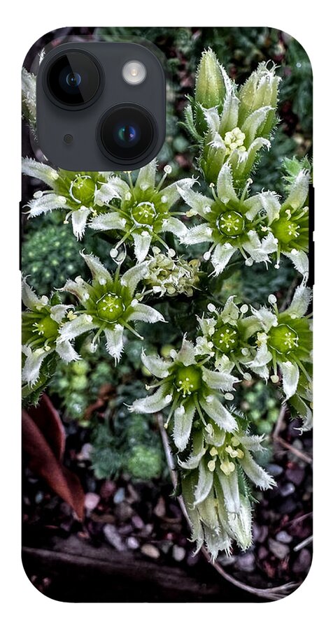 Green and white  - Phone Case