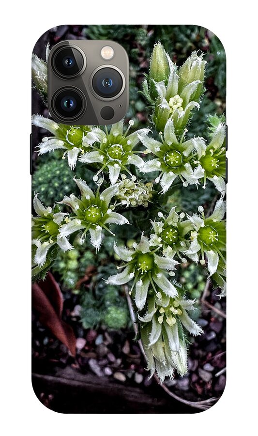 Green and white  - Phone Case