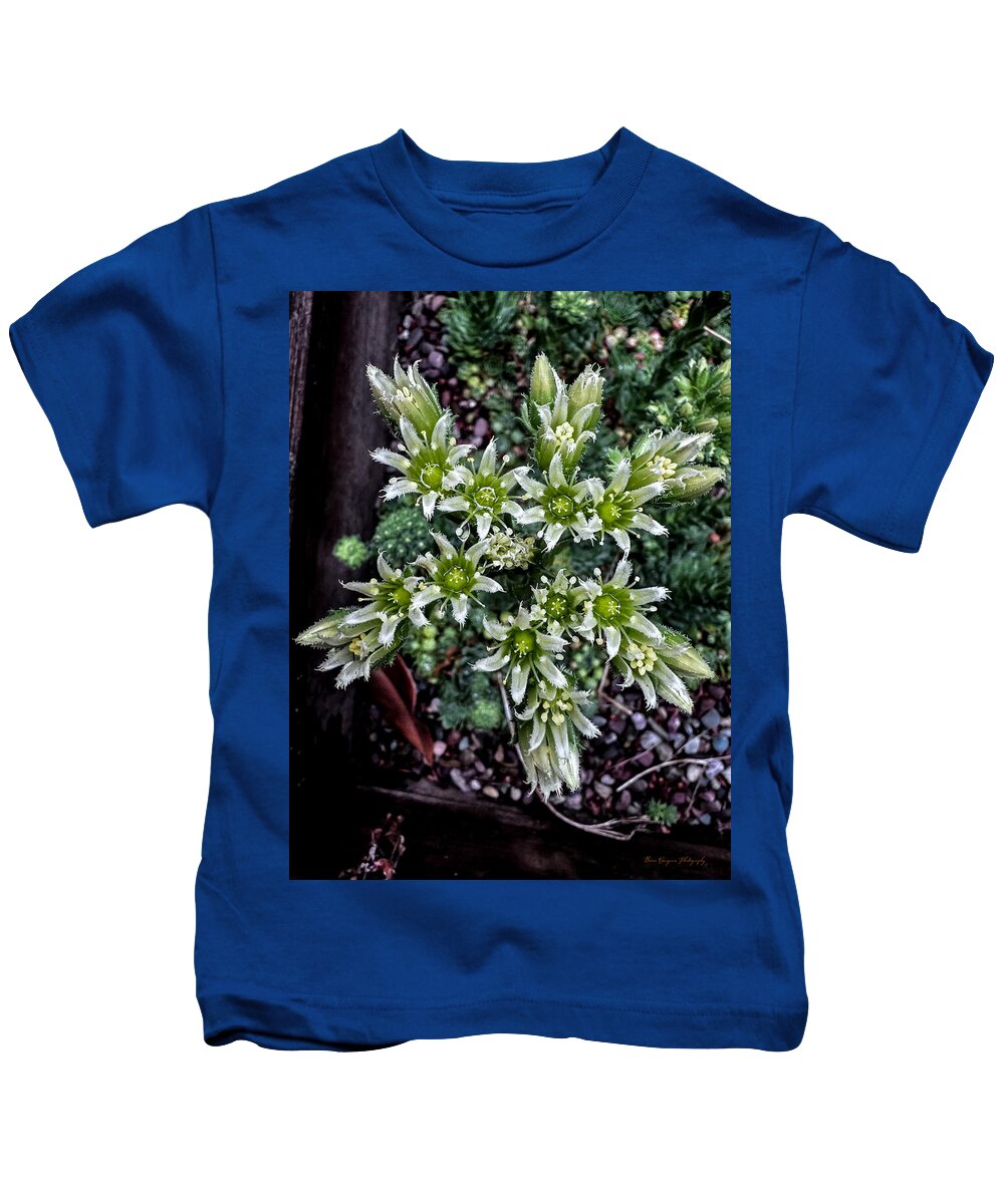 Green and white  - Kids T-Shirt