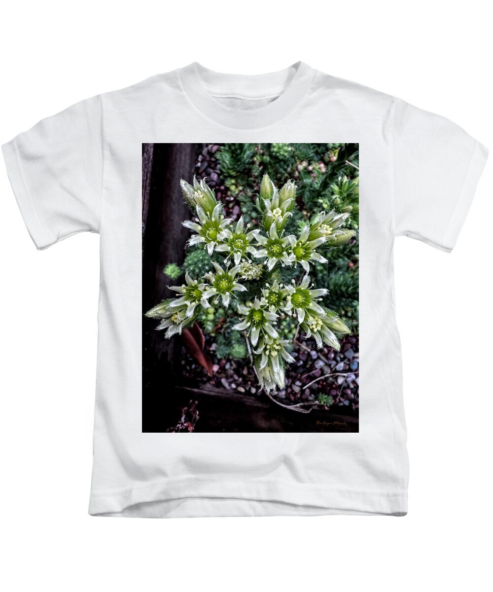 Green and white  - Kids T-Shirt