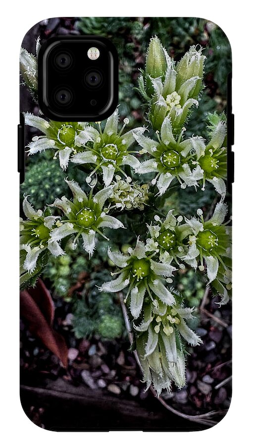 Green and white  - Phone Case