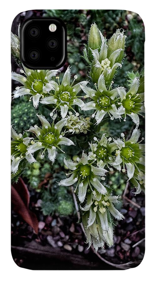 Green and white  - Phone Case